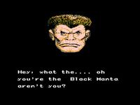 une photo d'Ã©cran de Wrath Of The Black Manta sur Nintendo Nes